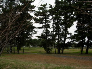 DSCN0387.jpg