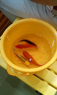 061123_1049~0001.jpg