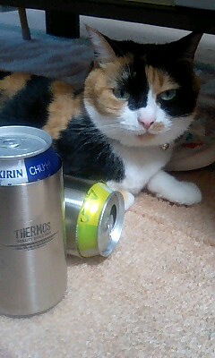 061216_1607~0001.jpg