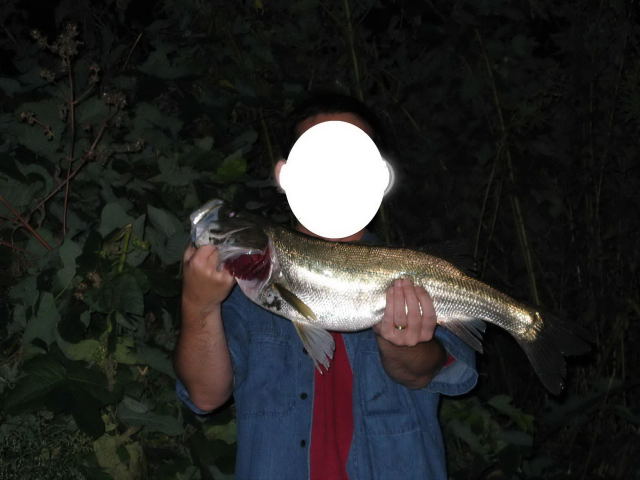 image0019.jpg